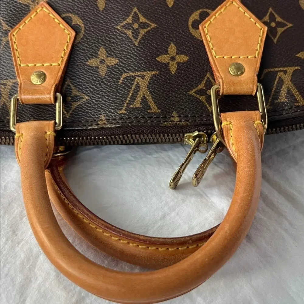 Louis Vuitton Alma PM Monogram Handbag